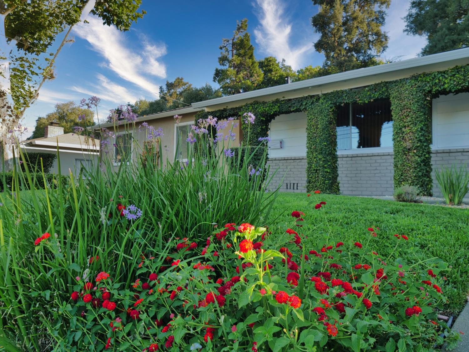 2040 Esperanza Drive