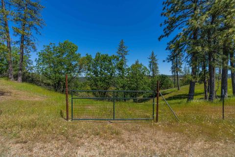 MLS: 224130493