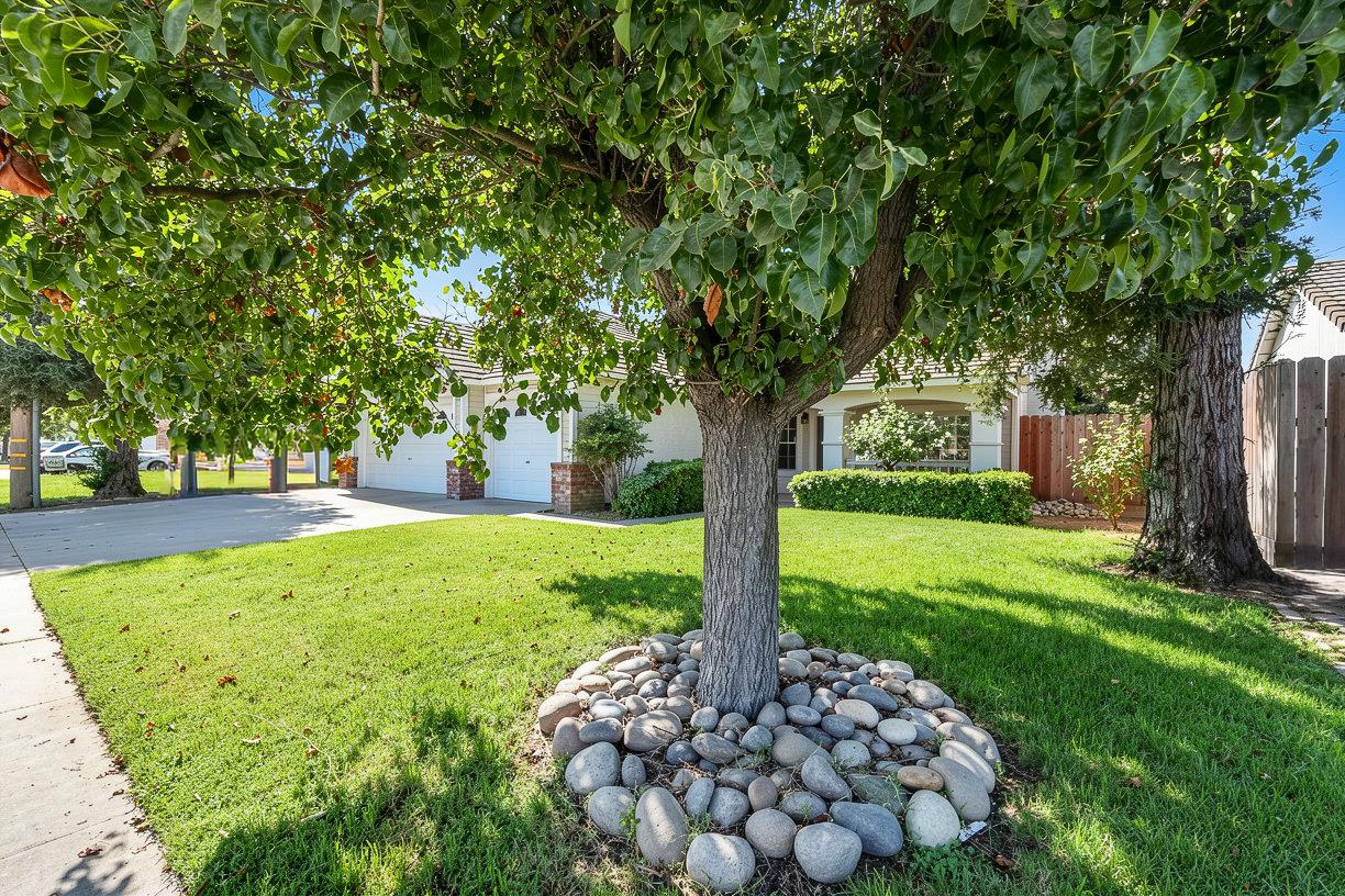 4503 Fosberg Road