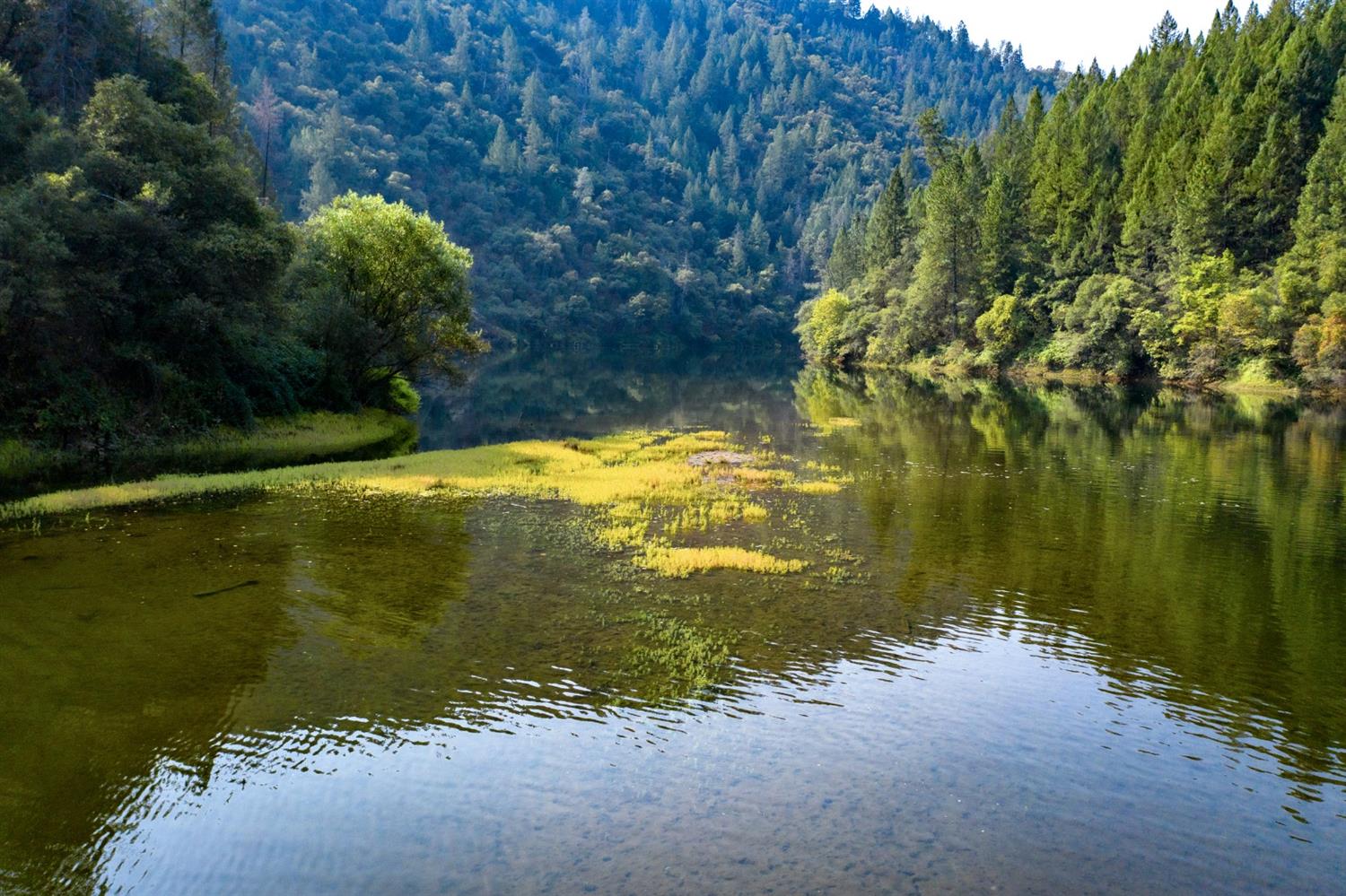 2095 Wild Goose Canyon Road