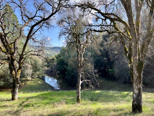 CEDAR PINES DR, FIDDLETOWN, CA 95629 - Image 8cc4e6ba312508e7860dd24f2d49bd2d/512063427