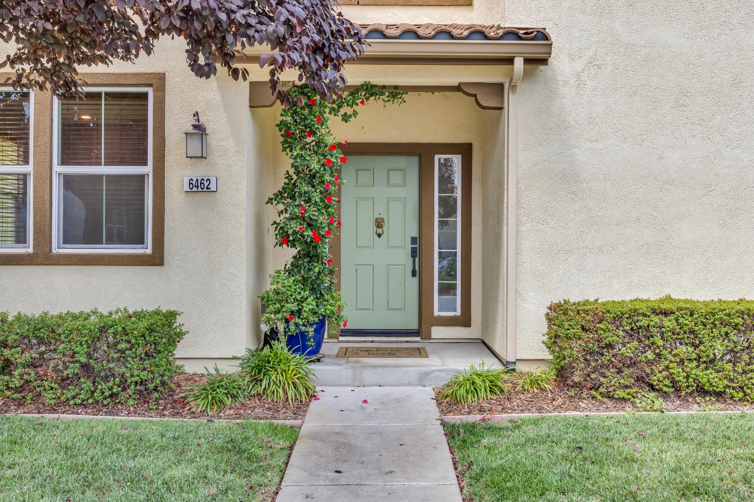6462 Brando Loop