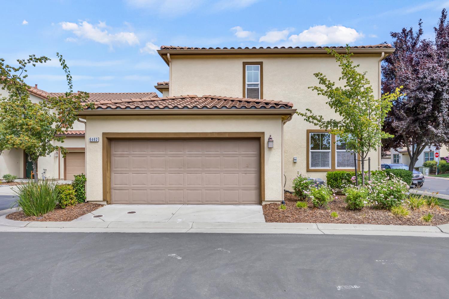 6462 Brando Loop