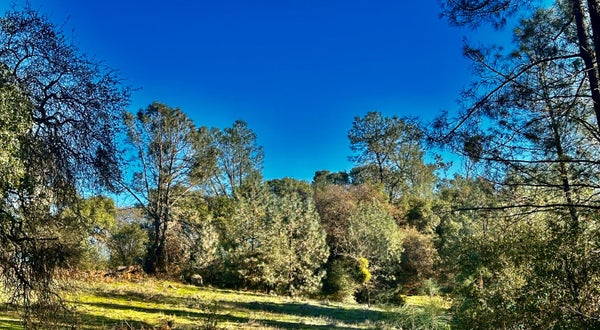 7317 LA PORTE RD, RACKERBY, CA 95972 - Image 8e92fdb0eea4aa4ec2a634492ccf113f/1312589701