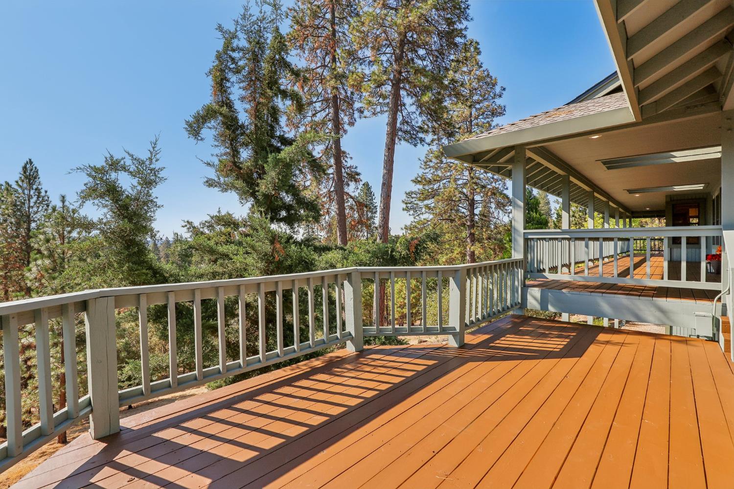2743 Brown Bear Trail