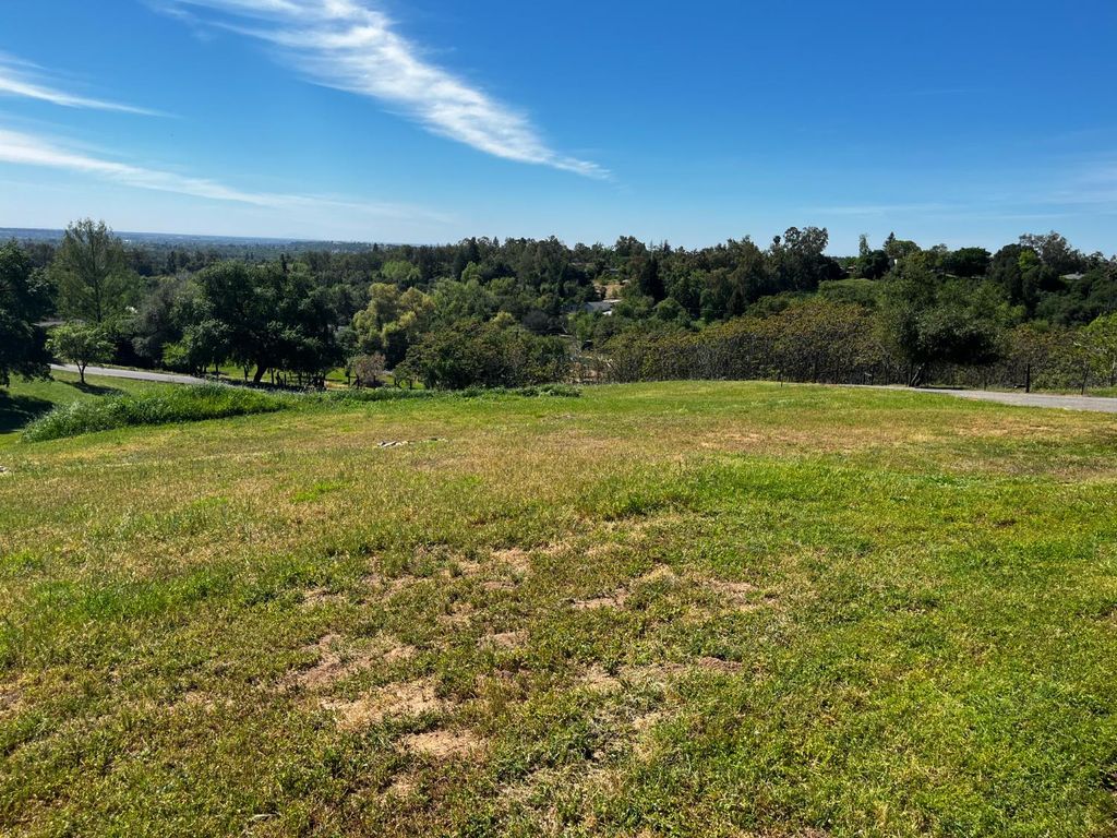 Photo of Butler Rd, Penryn, CA 95663 (MLS # 226034972)