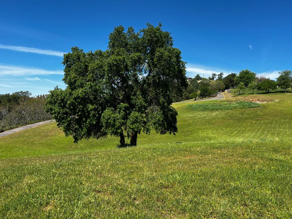 Photo of Butler Rd, Penryn, CA 95663 (MLS # 226034972)