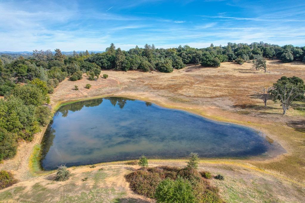 5520 Mother Lode Drive