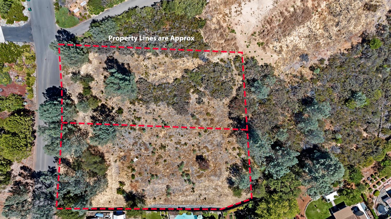 2989 Royce Drive
