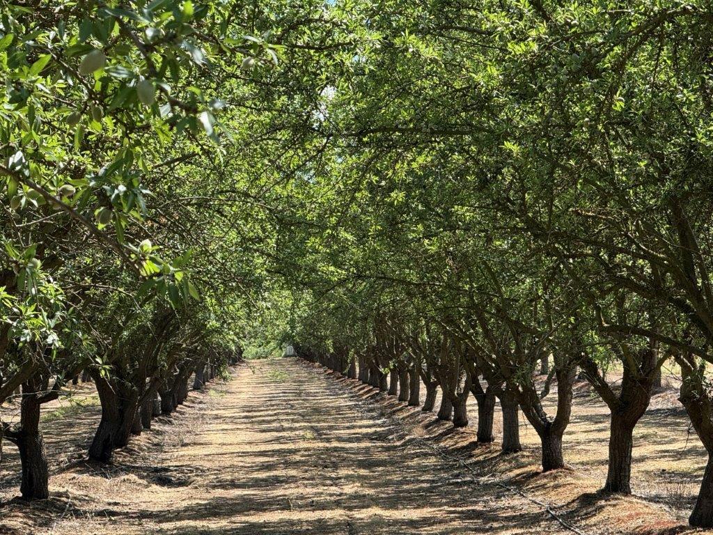 1 Buchanan Hollow Road