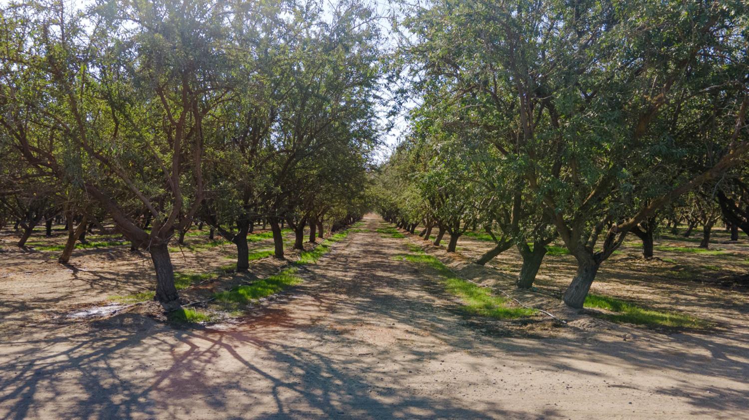 1 Buchanan Hollow Road