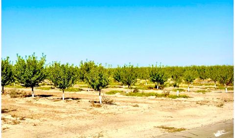 11716 S Cornelia Avenue Caruthers CA 93609