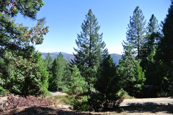 6248 CHURCH ST, FORESTHILL, CA 95631 - Image 8ffba95bb6a68b7002f3c9986d62c4a2/3714083974