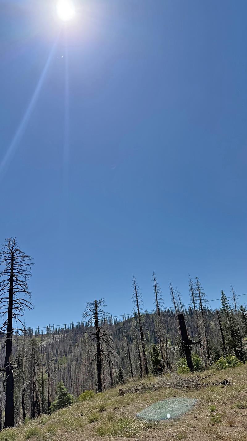 99981 Mormon Emigrant Trail