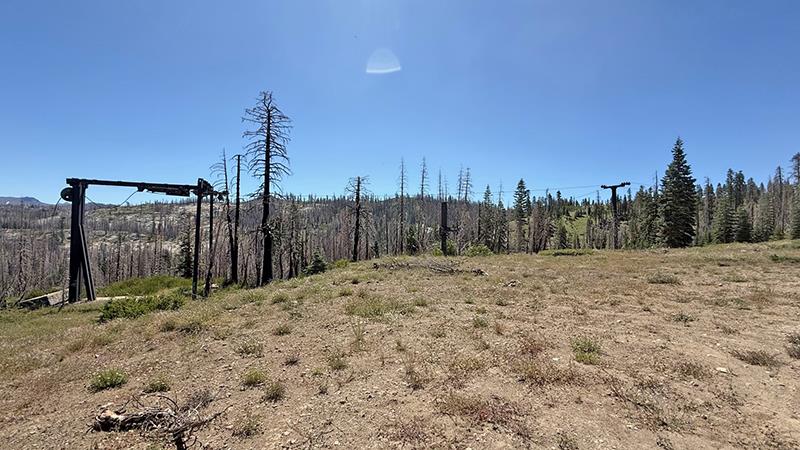99981 Mormon Emigrant Trail