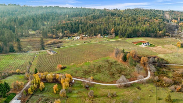 2635 CLEESE RD, CAMINO, CA 95709 - Image 90a148206ddb9b4e88d87e82d0d5c9b2/2529906891