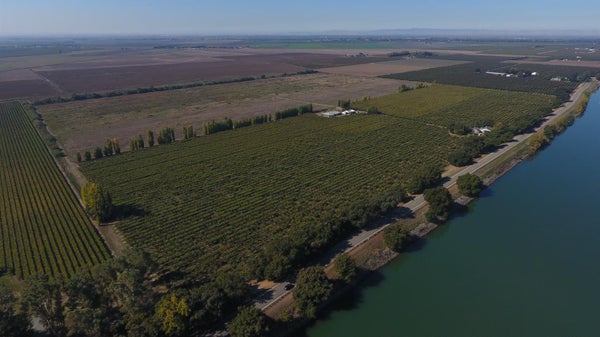 13516 STATE HIGHWAY 160, WALNUT GROVE, CA 95690 - Image 90dce4834ea2d0113fb3e67e2e69c8c2/2527005277