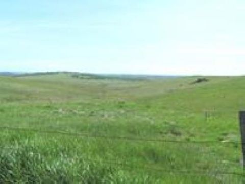 0 S Shingle Road Shingle Springs CA 95682