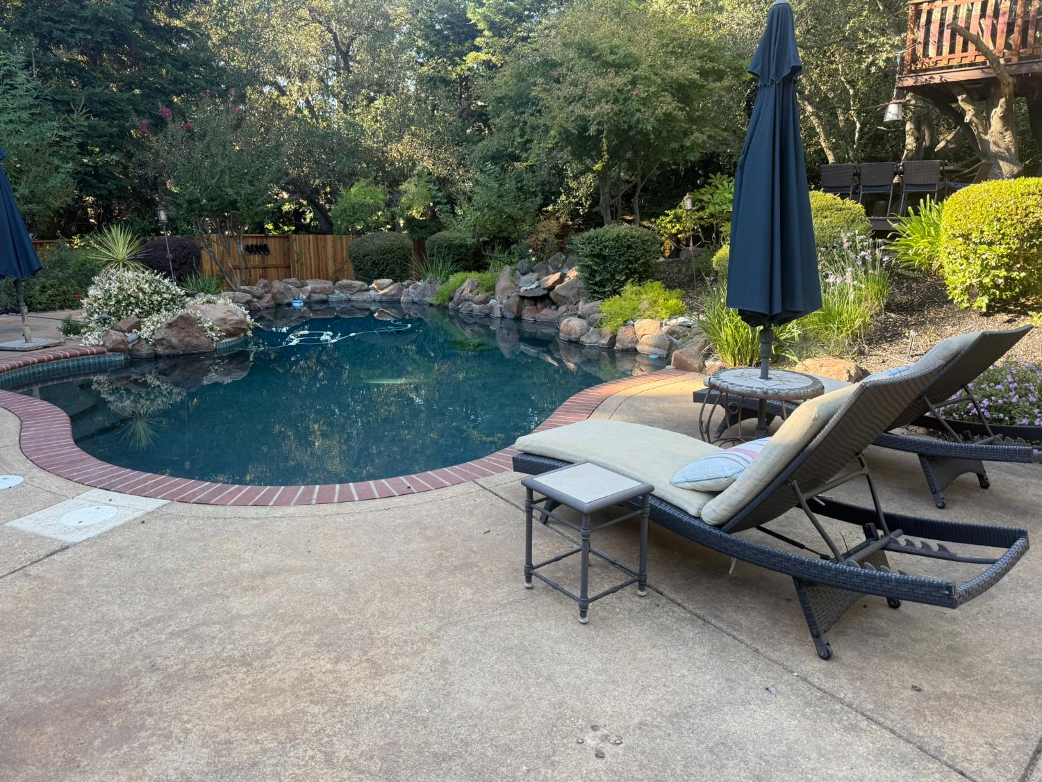 8455 Wood Thrush Way