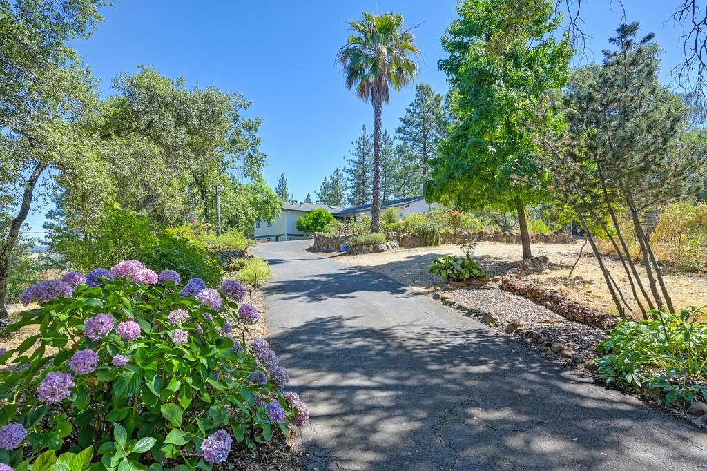 1520 Skyline Drive