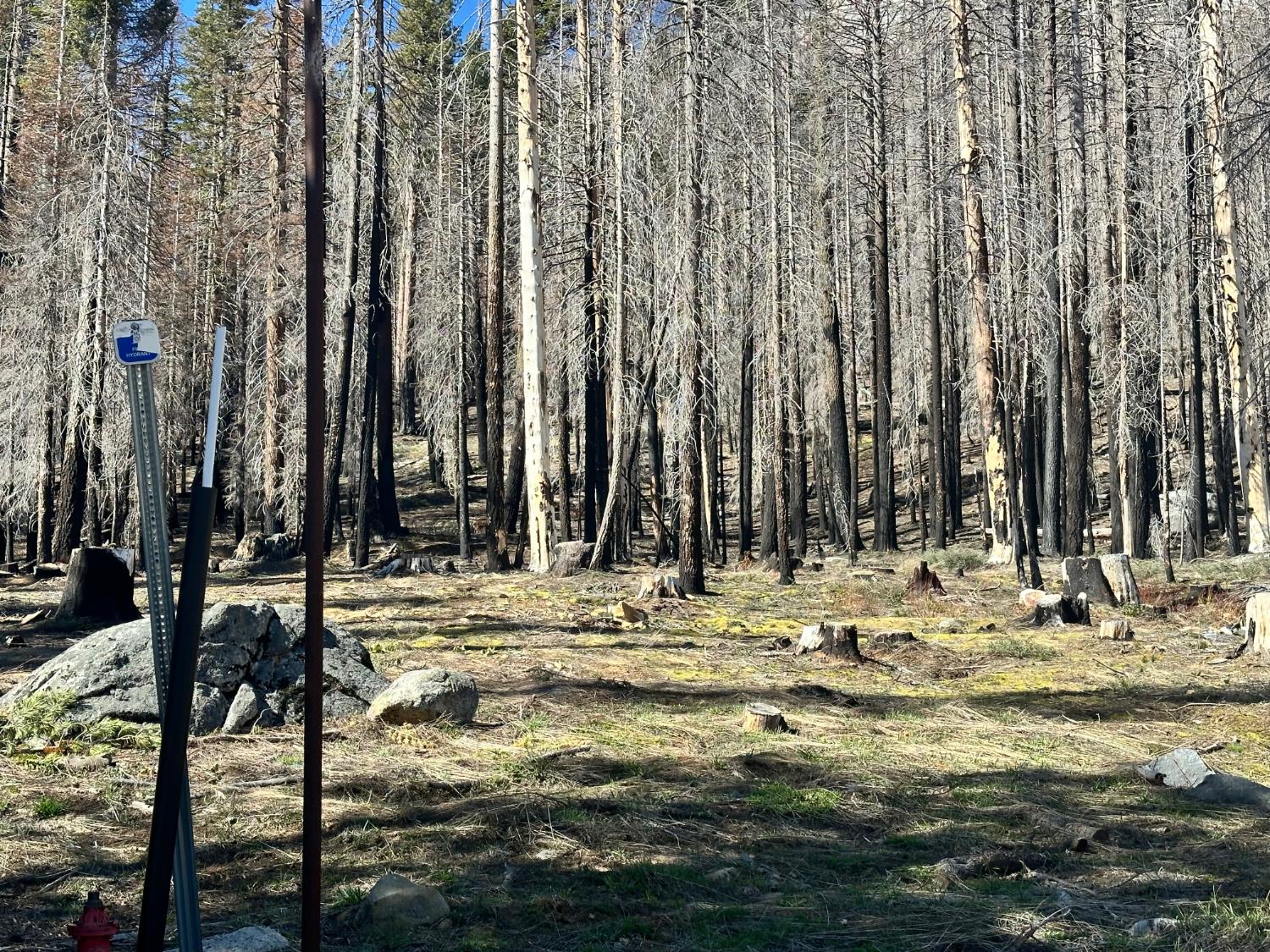 7177 Sierra Pines Road