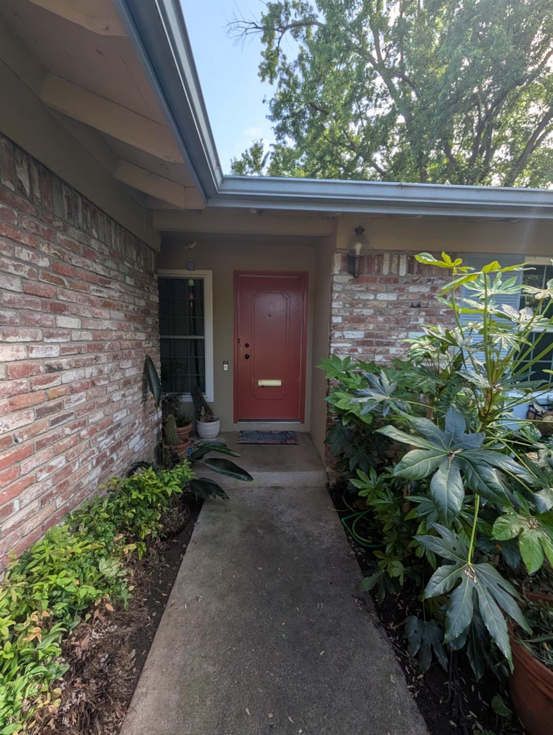 10000 El Chorlito Drive