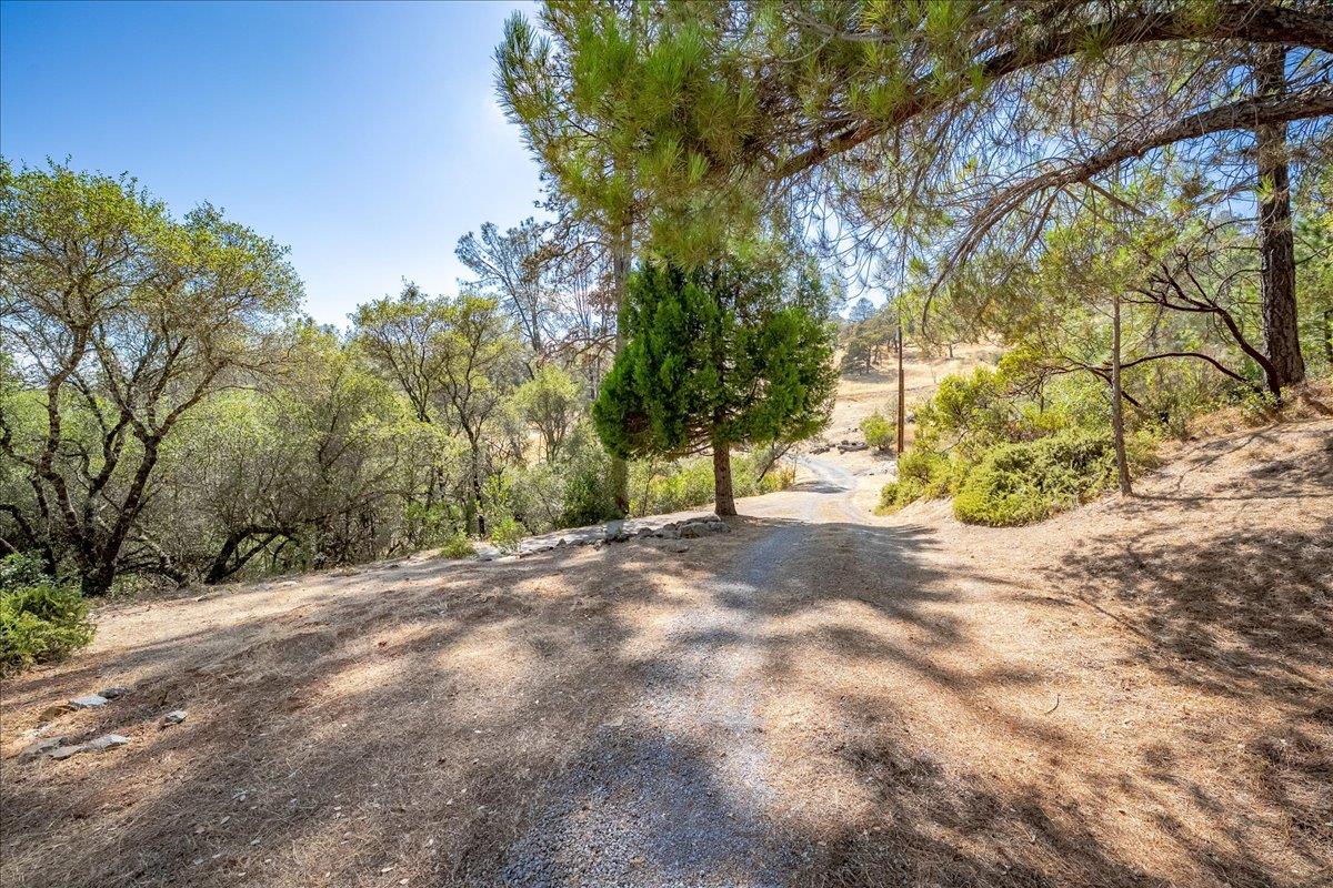 4751 Meadowview Acres Road