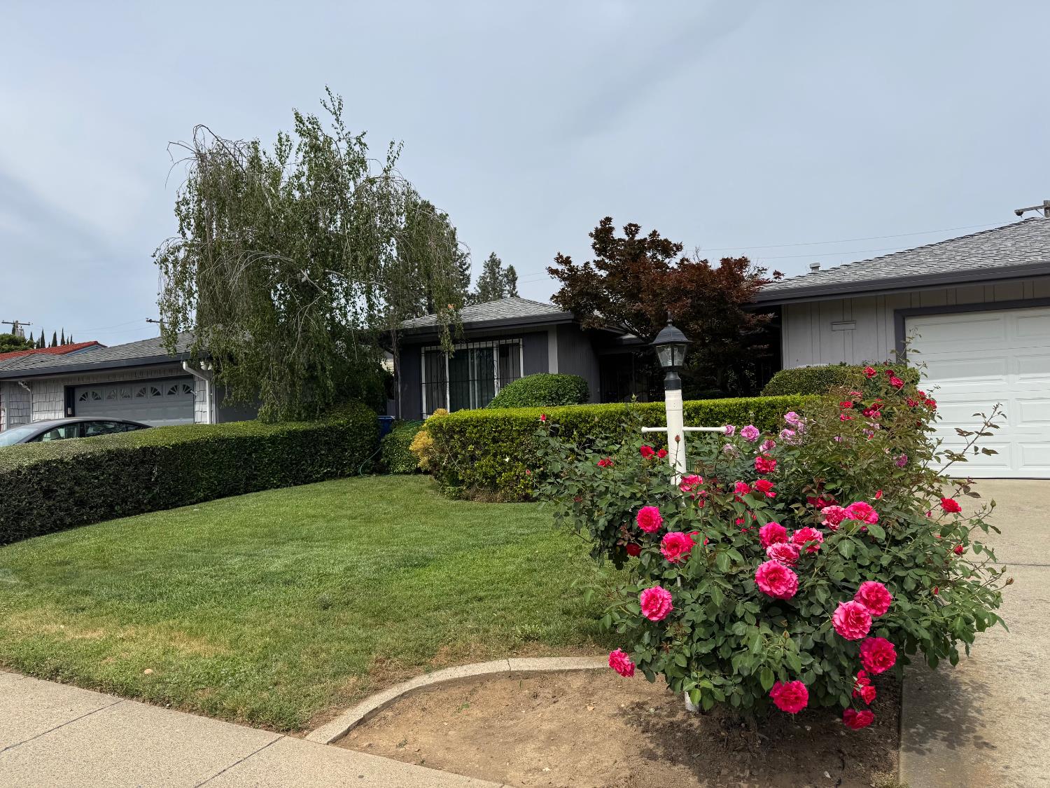 8437 Lake Forest Drive