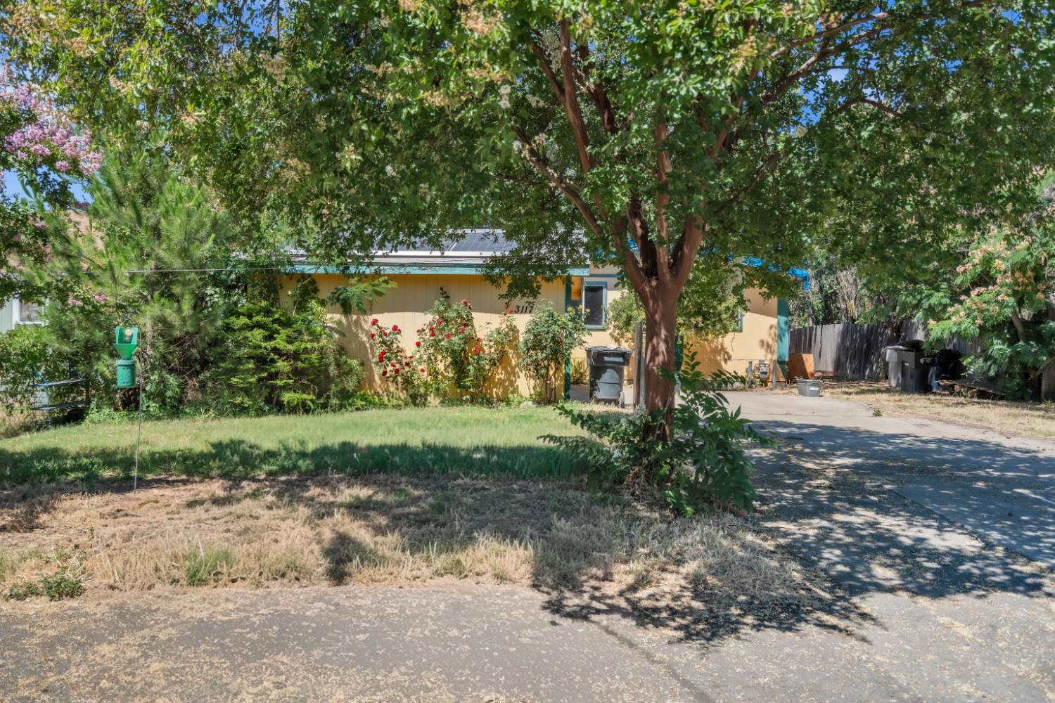 3117 Judah Street