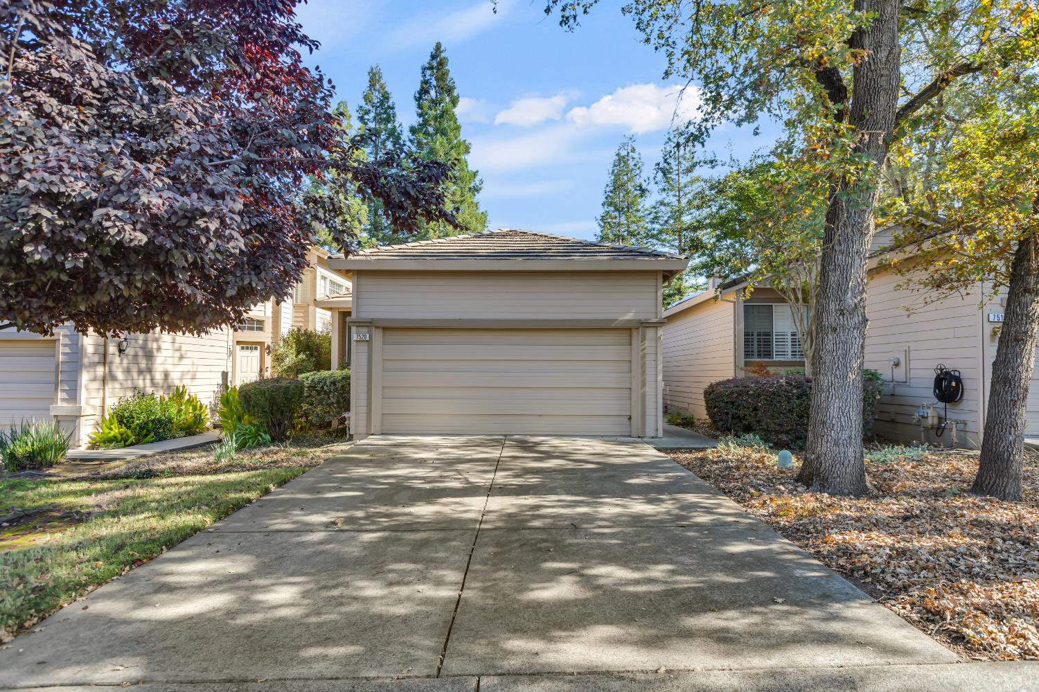 7520 Pheasant Walk Lane