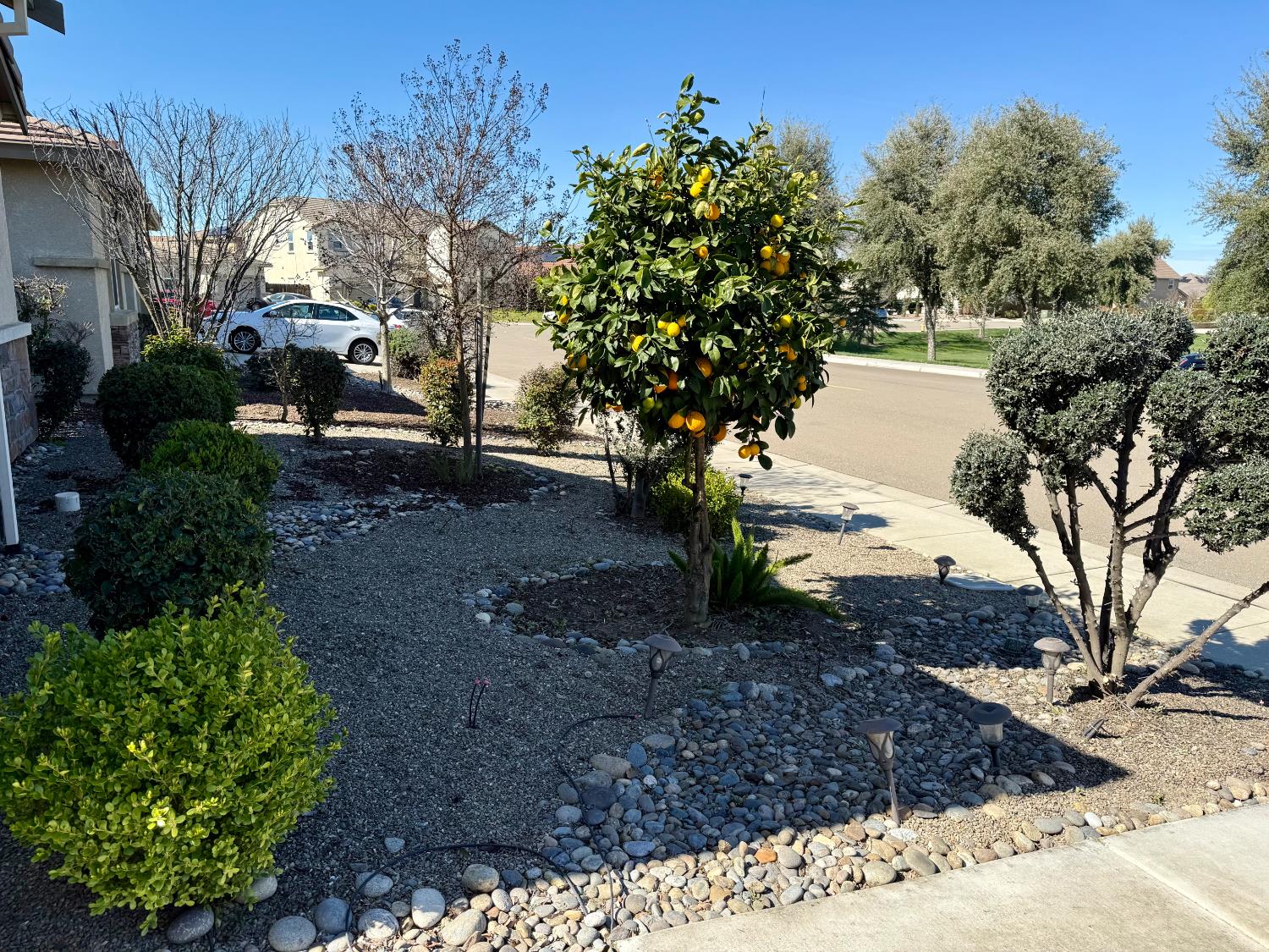 962 Orange Blossom Avenue