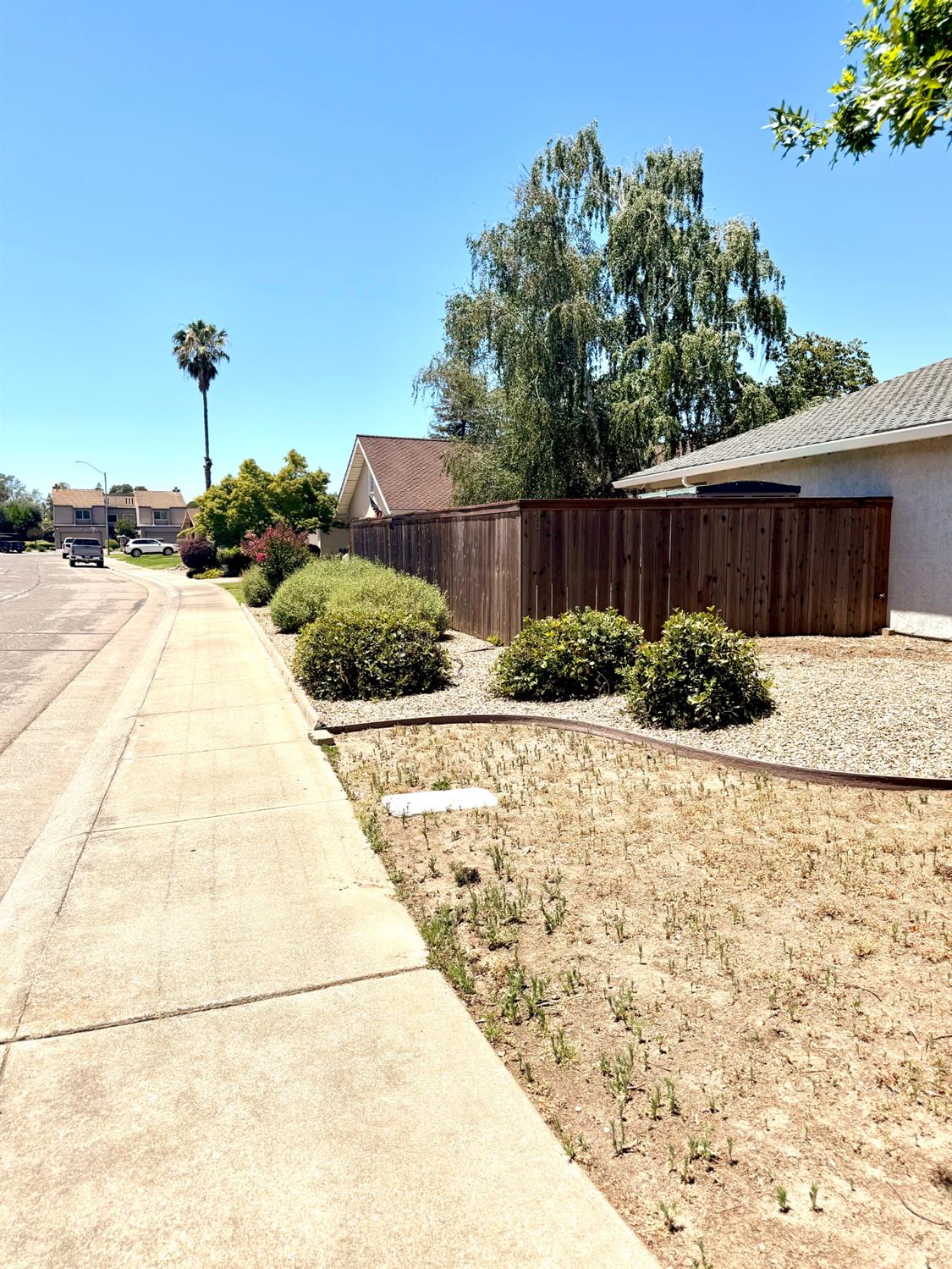 1019 Miwok Drive - Photo 4