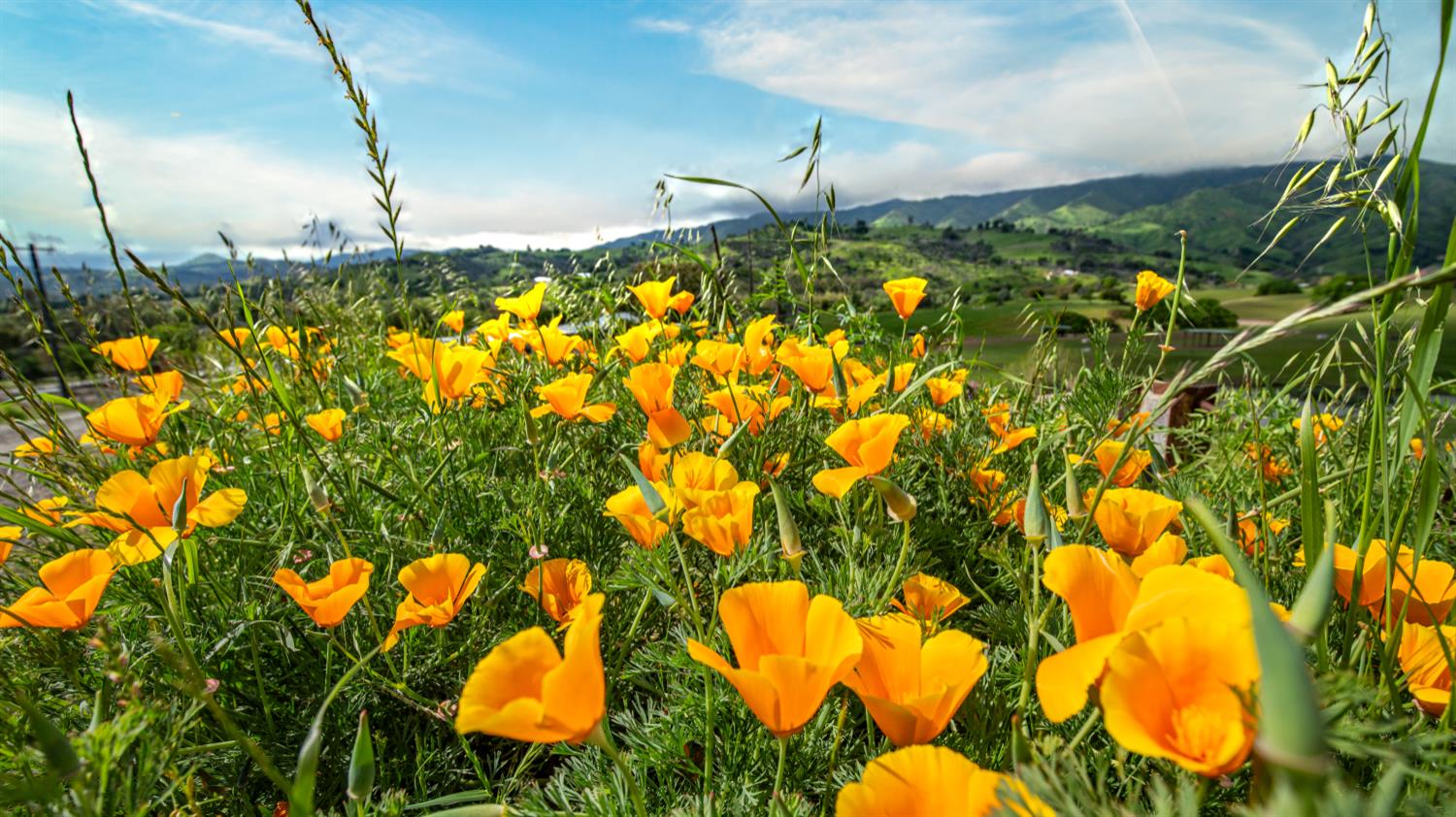 30247 Pleasant View Road