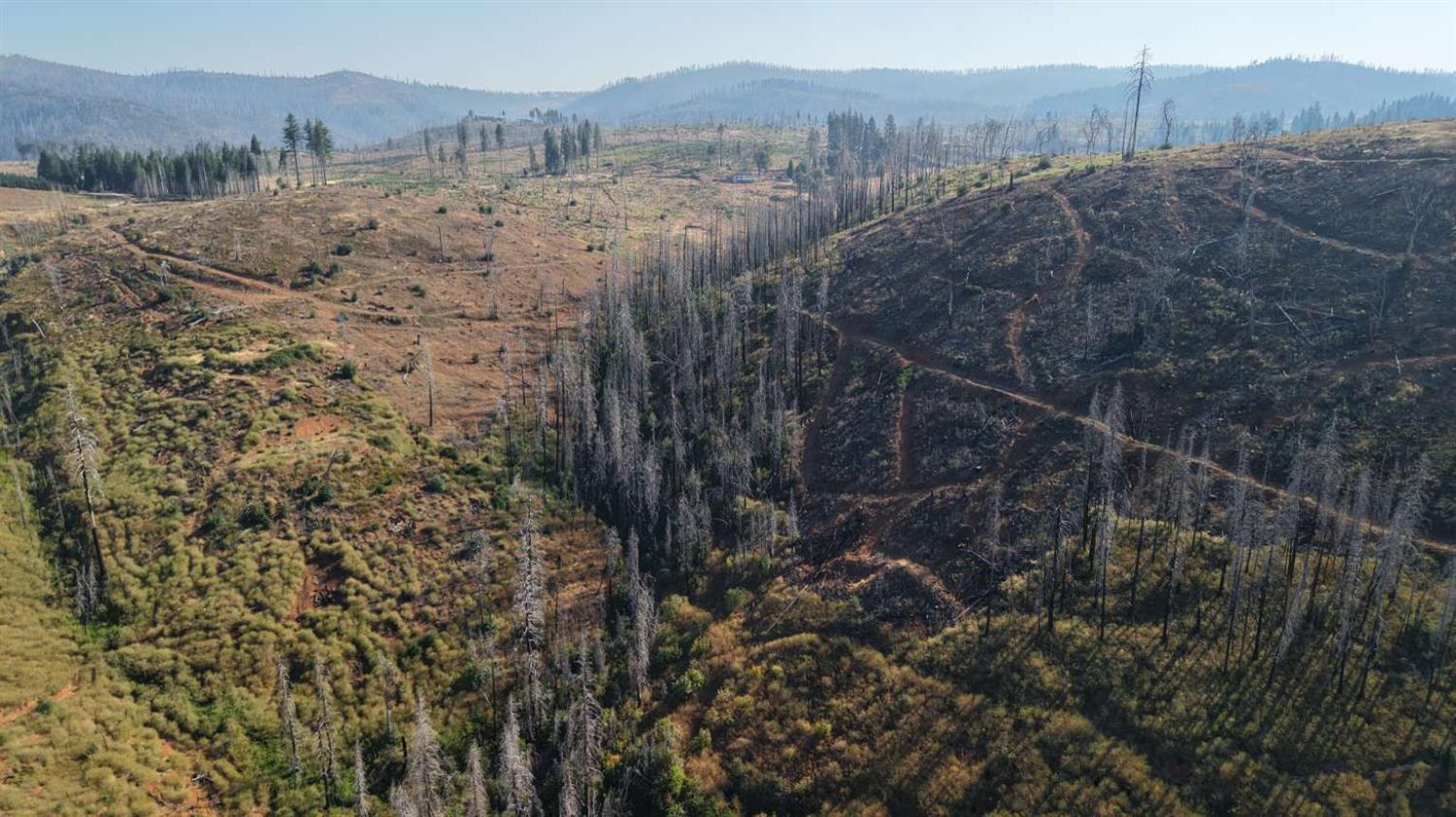 17 String Canyon Road