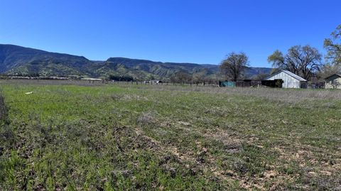 MLS: 224065329