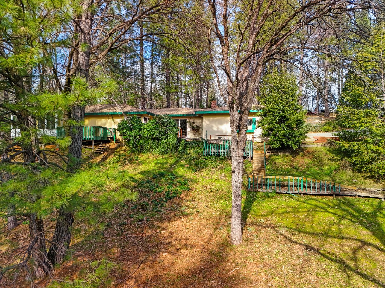 427 Golden Oak Drive