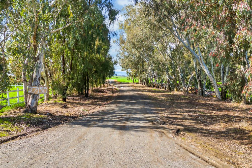 27150 Pierce Ranch Road