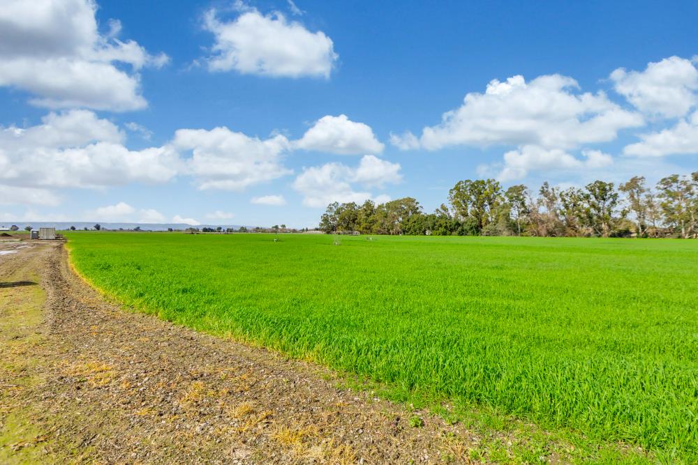 27150 Pierce Ranch Road