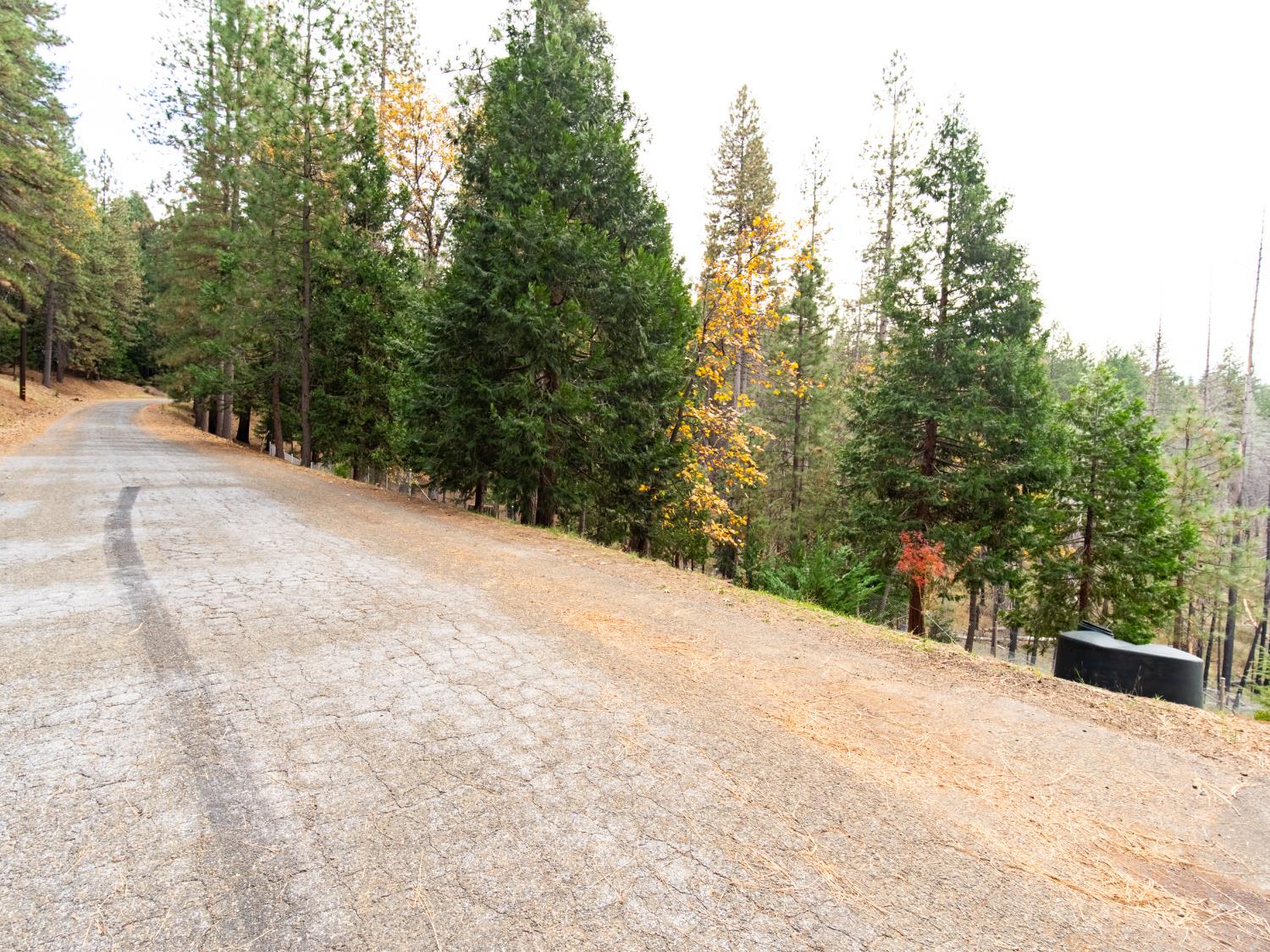 5194 Woodhaven Drive