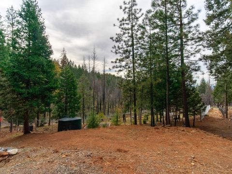 5194 Woodhaven Drive Grizzly Flats CA 95636