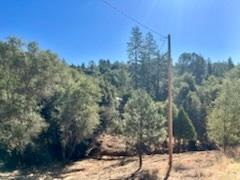 6700 Patsy Cline Lane