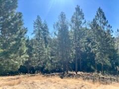 6700 Patsy Cline Lane