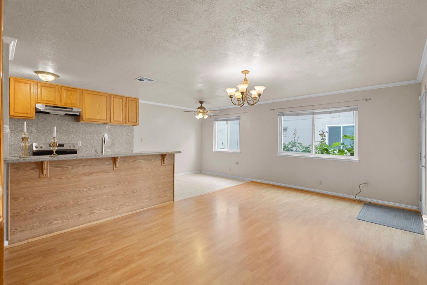 2009 Benita Drive 3