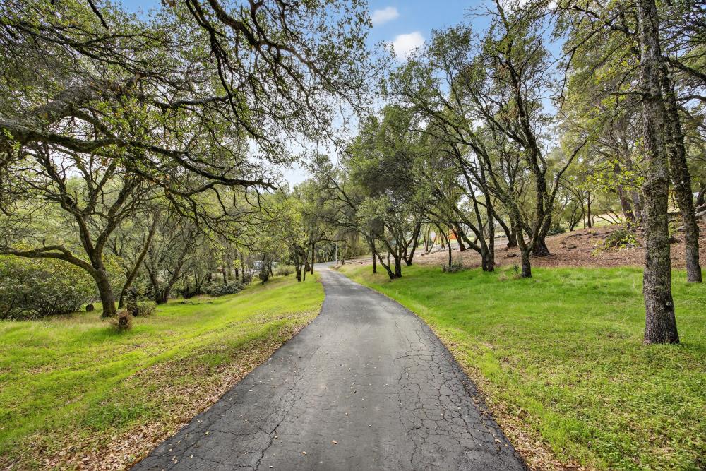 3630 Four Springs Drive