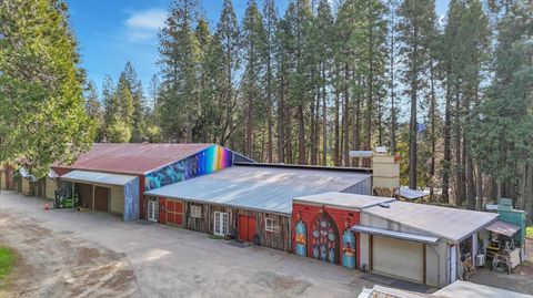 14724 N Bloomfield-Graniteville Road Nevada City CA 95959