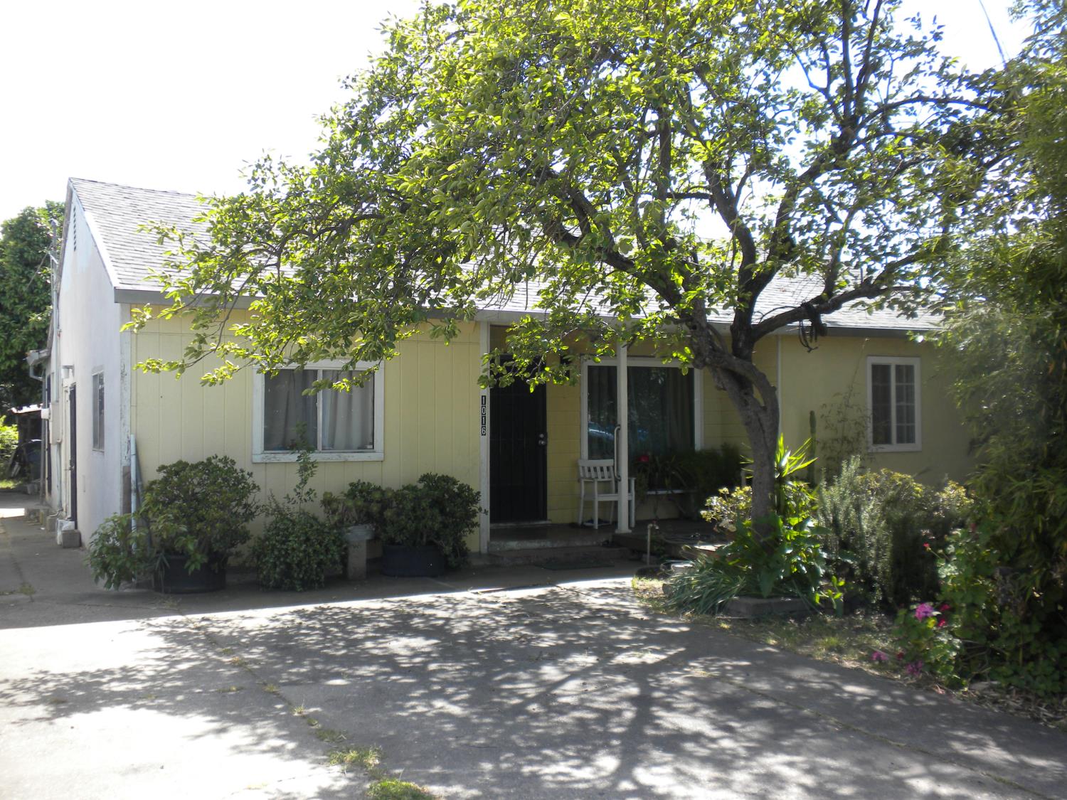 1016 Frienza Avenue