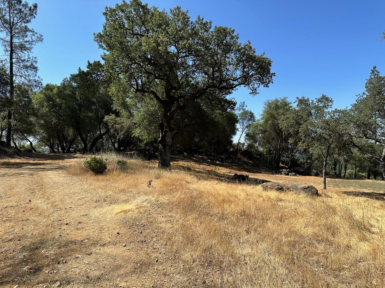 389 Summit View Court