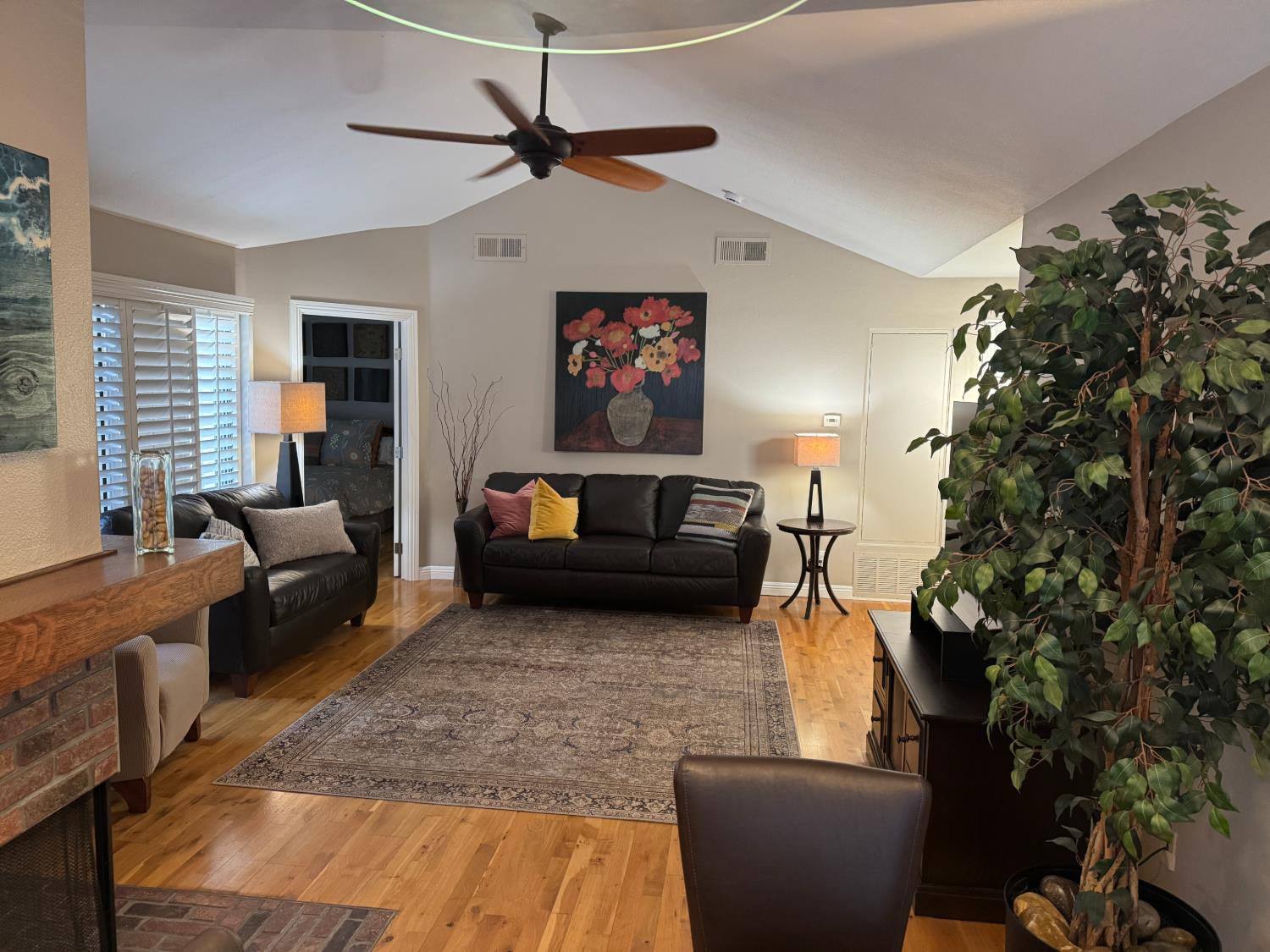 3684 Avocado Village Court 20
