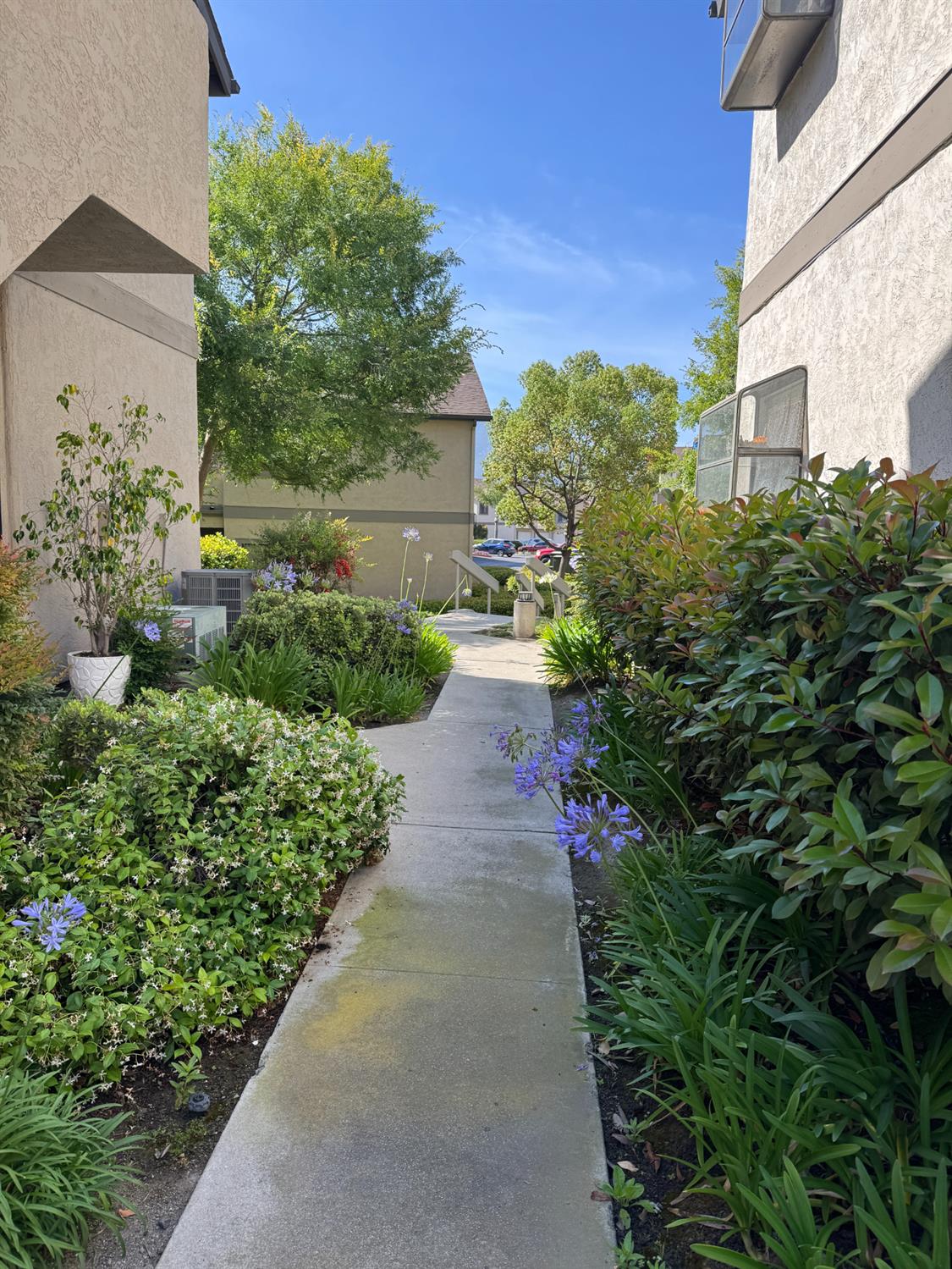 3684 Avocado Village Court 20