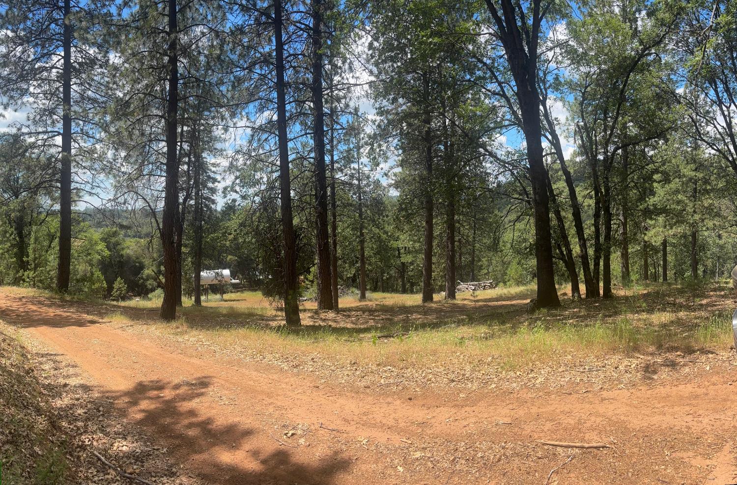 21109 Adamson Drive